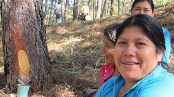 Campesinas habitan en el Área Natura de La Sepultura. Foto: Ángeles Mariscal/Chiapas PARALELO