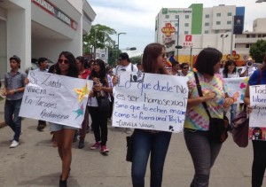 marcha orgullo gay (12)