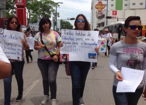 marcha orgullo gay (15)