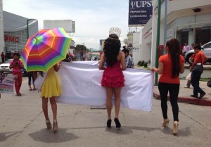 marcha orgullo gay (16)