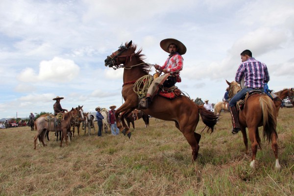 Charro haciendo suertes durante la cabalgata de Comitán. Foto: Elizabeth Ruiz