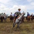 En el campo los caballos son utilizados para ayudarse en el trabajo diario. Foto: Elizabeth Ruiz