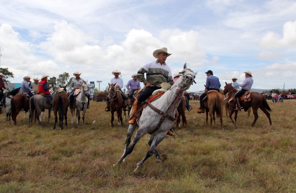 En el campo los caballos son utilizados para ayudarse en el trabajo diario. Foto: Elizabeth Ruiz