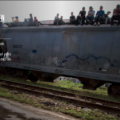 Tren con migrantes