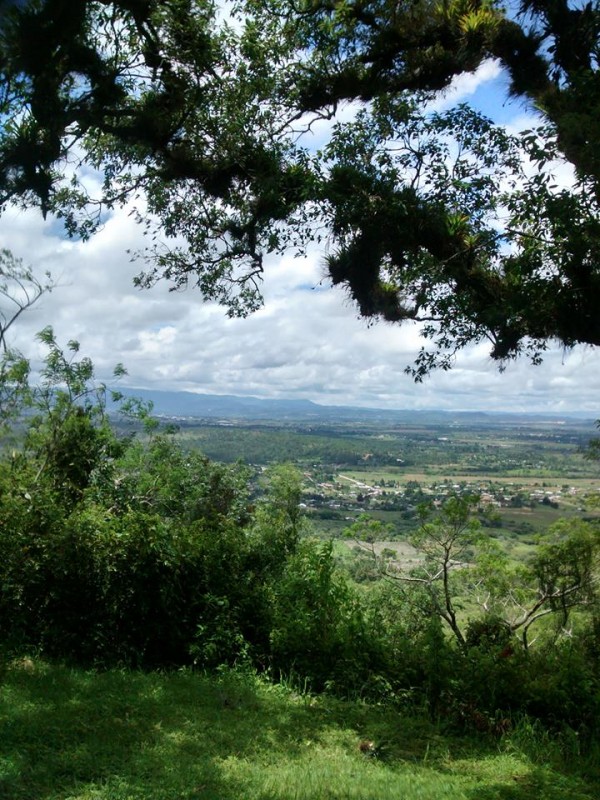 s el de ciénaga.

Una tarde, Alfonsina trató de enmendarle la plana al tío Eusebio. Éste contaba que, de muchachito, iba con toda la palomilla, se arremangaban las piernas del pantalón y entraban (descalzos) al humedal. Contó que le encantaba la sensación de sentir el lodo en la planta de sus pies.