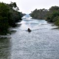 © Aguas santas, beatíficas. Pantanos de Centla, Tabasco (2012)