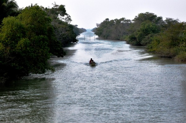 © Aguas santas, beatíficas. Pantanos de Centla, Tabasco (2012)