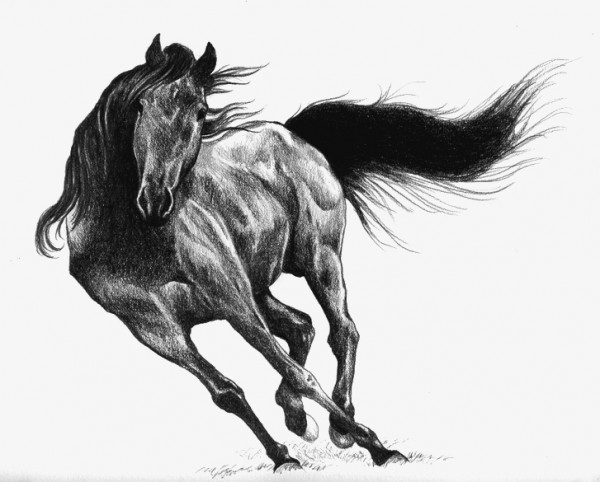 Caballo negro, de Mónica Alejandra Robles Corzo.