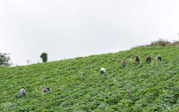 El consejo, que defiende los bienes naturales de la Montaña y Costa Chica de Guerrero en contra de la minería. Foto: Radio Expresión