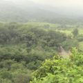 Cintalapa, tierra rica en recursos ambientales, despierta la ambición de caciques. Foto: Cortesía