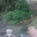 Rupturas en el drenaje contaminan río Suchiapa 000