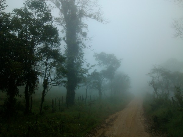 Foto: Cortesía Conanp