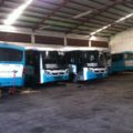  35% del parque vehícular del Tapachultecobus, se encuentra descompuesto. Foto: Cesar Rodríguez