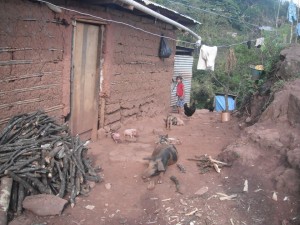 El cistecercosis es una enfermedad que normalmente afecta más a las comunidades más pobres y marginadas, dice el médico. 