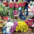 Flores para todos los Santos. Foto: Elizabeth Ruiz