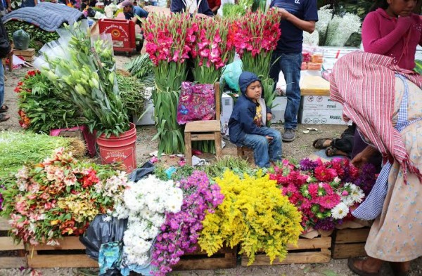 Flores para todos los Santos. Foto: Elizabeth Ruiz