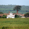 Finca La Valdiviana. Foto: sergionicolasgutierrez.com