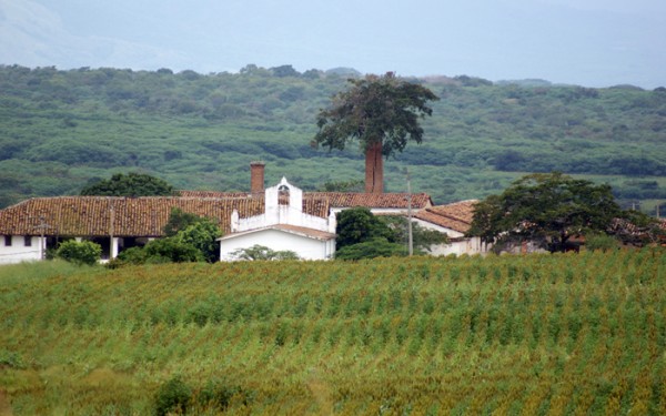 Finca La Valdiviana. Foto: sergionicolasgutierrez.com