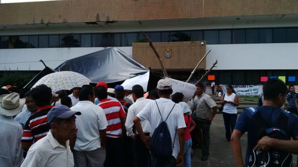 Cafeticultores de Chiapas sufren una crisis por la plaga de la roya. Foto: Cesar Rodríguez