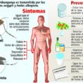 Se incrementa a 100 los posibles casos de Chinkungunya en Chiapas chikungunya