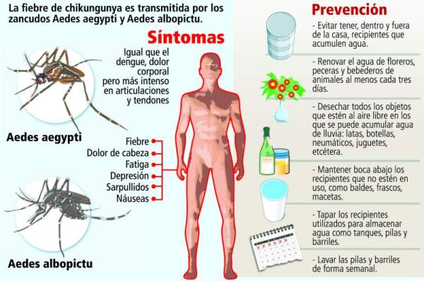 chikungunya