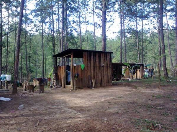 Predio El Roble, recuperado por el EZLN en 1994. Foto: Frayba