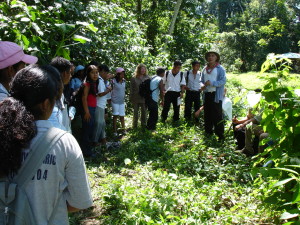 Investigadores del Ecosur en la Selva Lacandona. Foto: Ecosur