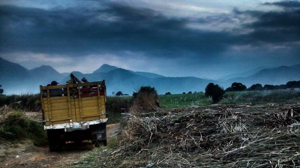 Trabajadores Cañeros / Amatlán de los Reyes, Veracruz. Foto: Rubén Figueroa