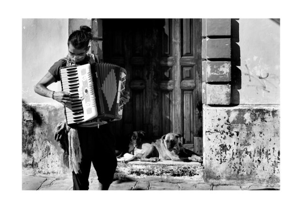 Arrulo. San Cristóbal de Las Casas, 2015. Foto: Jacob García