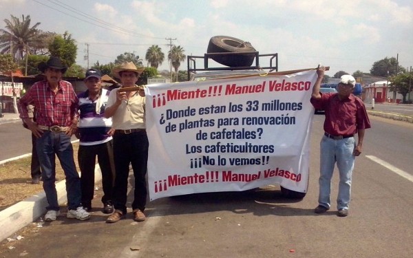 Los cafeticultores han denunciado desde finales de 2014, que existen múltiples irregularidades en la aplicación de los recursos para combatir la roya. Foto: Benjamín Alfaro