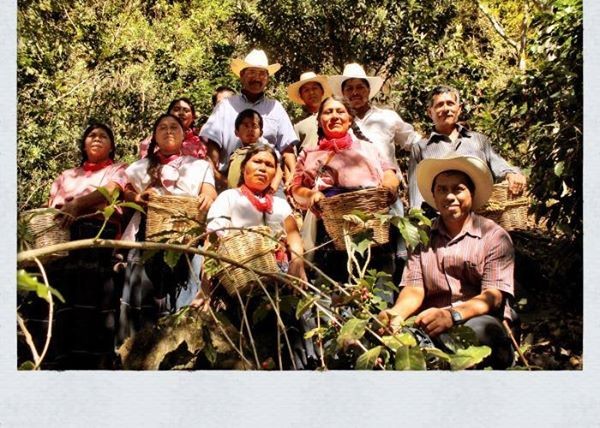 Cafeticultores indígenas de Chiapas. Foto: Cortesía