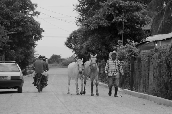 La mayoría de la población de Nuevo Carmén Tonapac sigue viviendo de la agricultura. Foto: Francisco López Velásquez/Chiapas PARALELO.