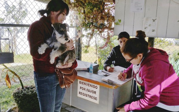 El CLUVETSAN, el CECAM y Mascotas San Cristóbal realizan esta labor de manera altruista. Foto: Emiliano Hernández