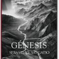 cover_fo_salgado_genesis_trade_e_1307081418_id_709825