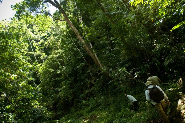 Chimalapas. Foto: Cortesía