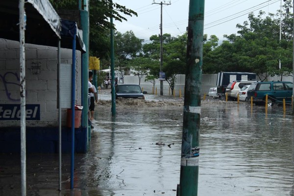 Foto: Roberto Ortiz/ Chiapas PARALELO.