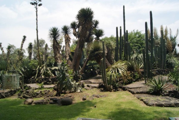 JARDIN DOS