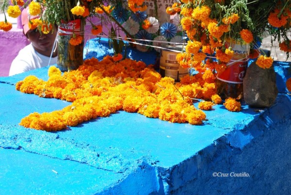  © Celeste y amarilla, flor de muertos. Tuxtla Gutiérre. 2006