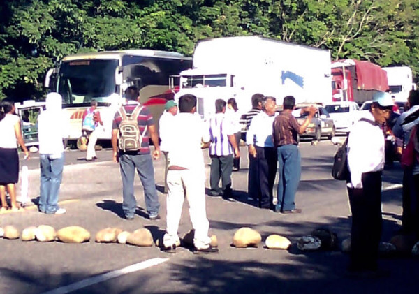 En 2012 los campesinos empezaron a alertar por la entrada de la plaga a las plantaciones de Chiapas. Foto: Cortesía