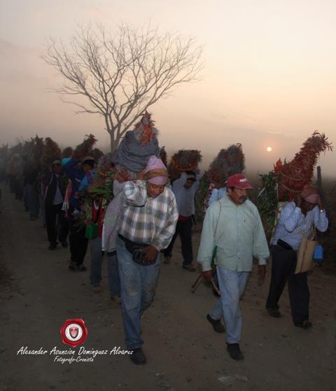 Foto: Alexander Asunción Domínguez Álvarez