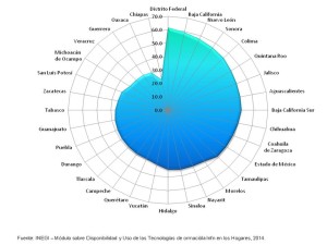 Dos de cada diez chiapanecos con acceso a internet