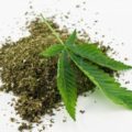 marihuana-seca-y-hojas-verdes