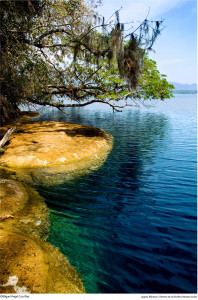 En 1979 la UNESCO la incluyó en la Red Mundial de Reservas de la Biosfera del Programa El Hombre y la Biosfera. Foto: Conanp