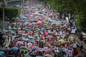 Foto: Francisco López Velásquez.