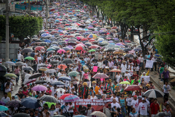 Foto: Francisco López Velásquez.