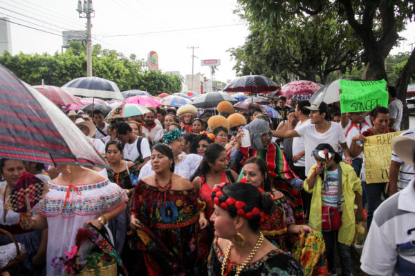 Foto: Francisco López Velásquez.