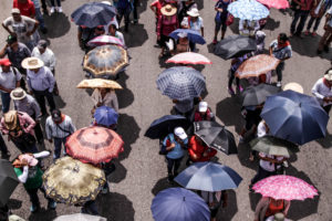 Foto: Francisco López Velázquez/ChiapasPARALELO