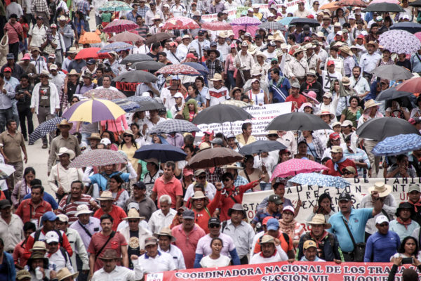 La sociedda civil se puso a prueba, y aprobó. Foto: Francisco López Velázquez