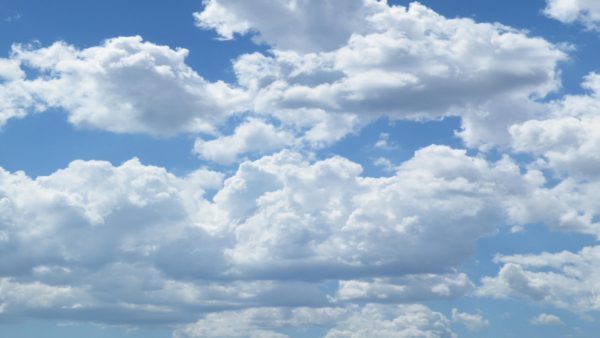 El algodón de París no es compacto, es como una nube libre en su vuelo.