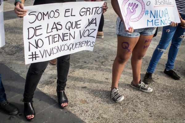 En los últimos años desde el gobierno federal o en los distintos estados de la República han crecido las dependencias encargadas de promover la igualdad de Mujeres, asesinatos y discursos mujeres y también aquellas dedicadas a su defensa, estas últimas en crecimiento dada su indefensión legal, en muchas ocasiones, y los ataques a su integridad física, con circunstancias tan reprobables como los asesinatos.